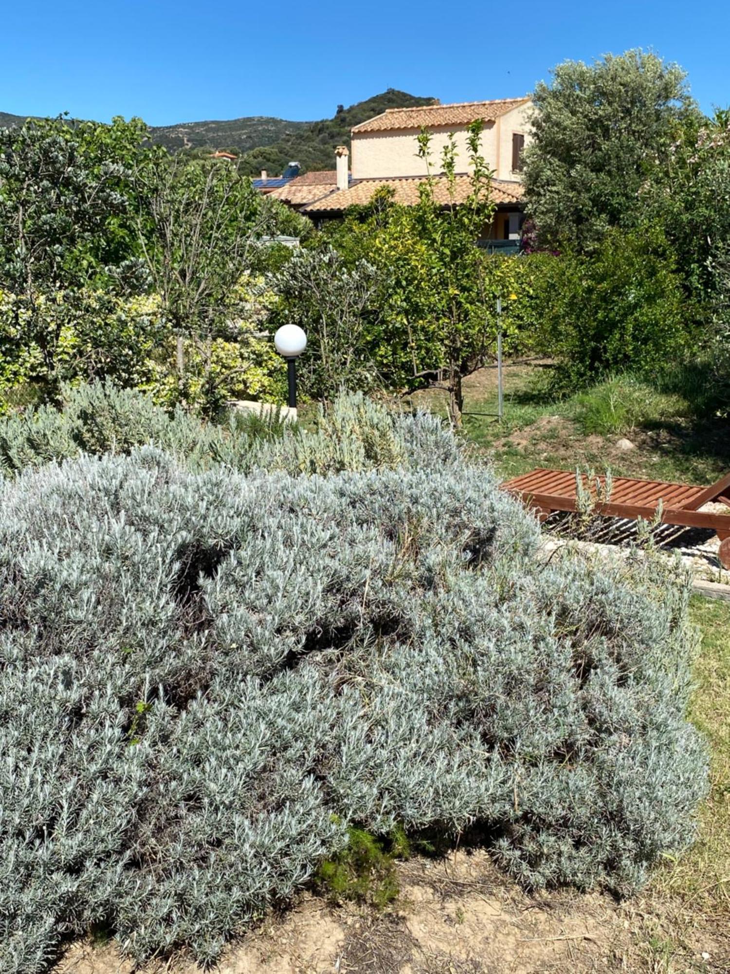 Lecallebed-Breakfast Chia Dış mekan fotoğraf